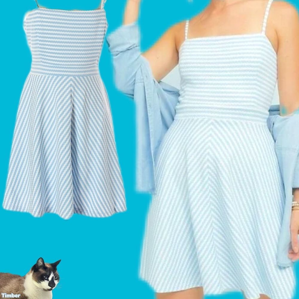 NWT $199 Anthro | Hutch | Molly | Textured Lined Striped Dress w Pockets